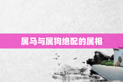 属马与属狗绝配的属相