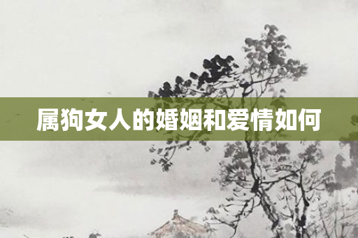 属狗女人的婚姻和爱情如何
