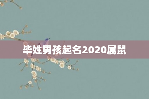 毕姓男孩起名2020属鼠