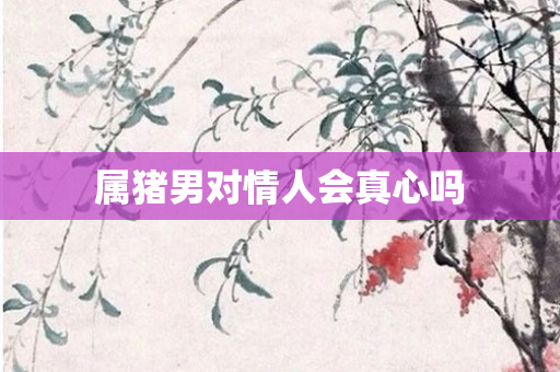 属猪男对情人会真心吗