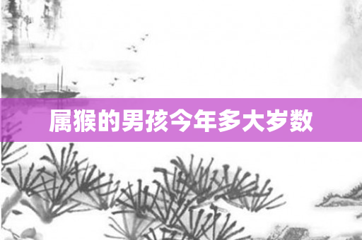 属猴的男孩今年多大岁数
