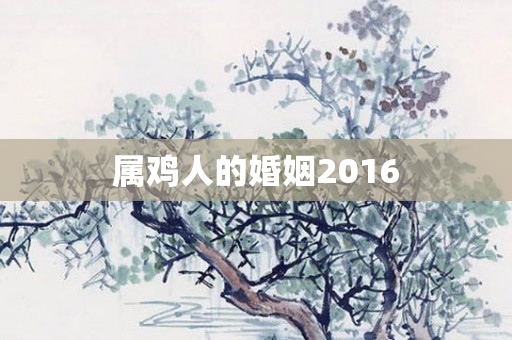 属鸡人的婚姻2016