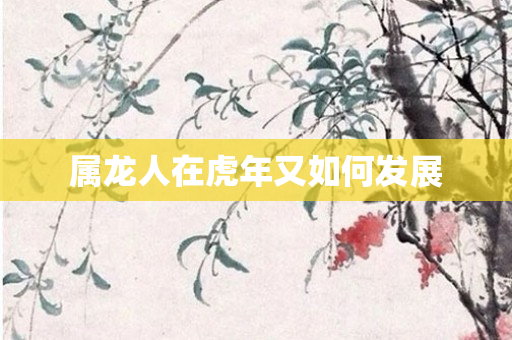 属龙人在虎年又如何发展