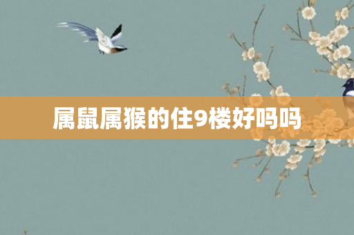 属鼠属猴的住9楼好吗吗