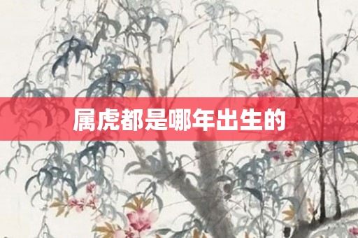 属虎都是哪年出生的
