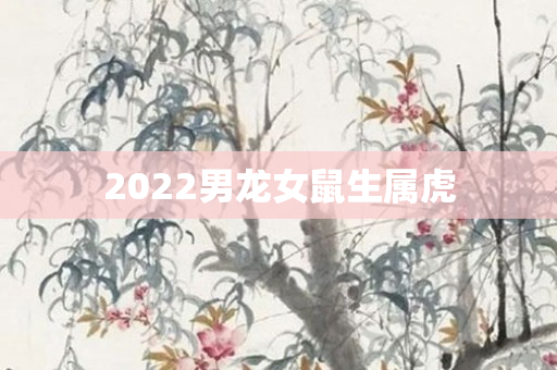 2022男龙女鼠生属虎