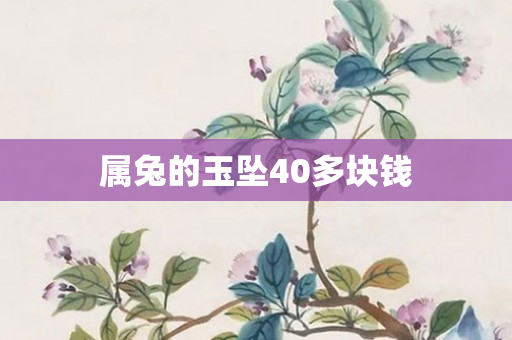 属兔的玉坠40多块钱