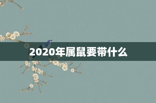2020年属鼠要带什么