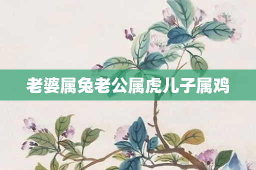 老婆属兔老公属虎儿子属鸡