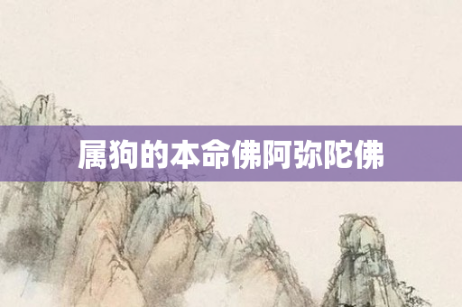 属狗的本命佛阿弥陀佛
