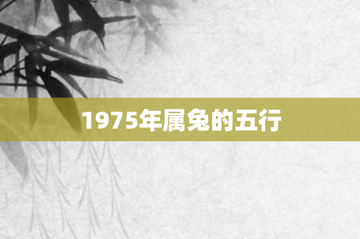 1975年属兔的五行