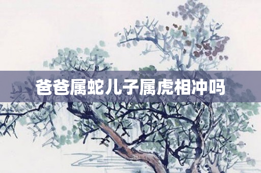 爸爸属蛇儿子属虎相冲吗