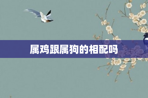 属鸡跟属狗的相配吗