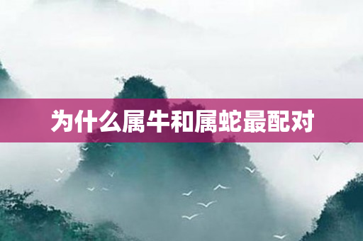为什么属牛和属蛇最配对