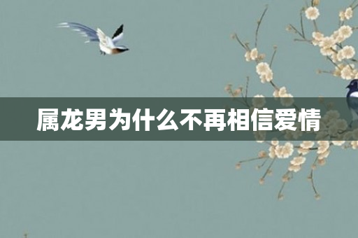 属龙男为什么不再相信爱情