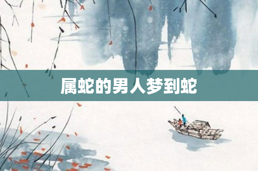 属蛇的男人梦到蛇