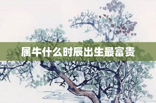 属牛什么时辰出生最富贵
