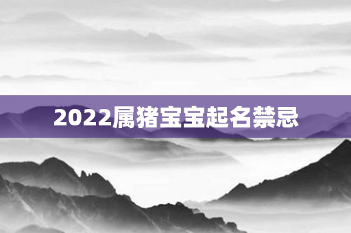 2022属猪宝宝起名禁忌
