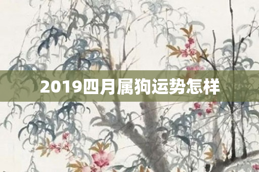2019四月属狗运势怎样
