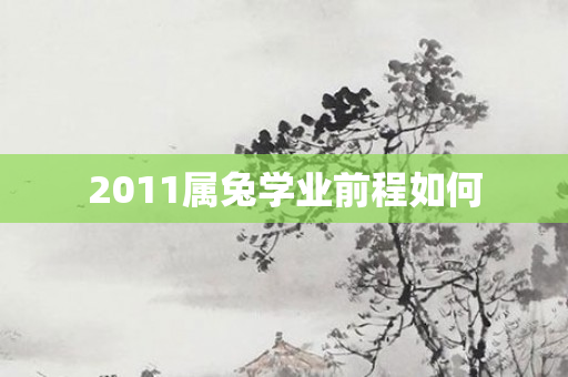 2011属兔学业前程如何