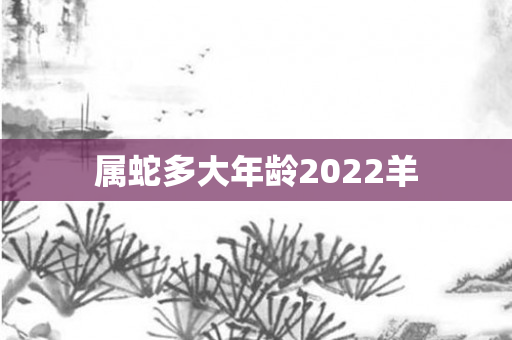 属蛇多大年龄2022羊