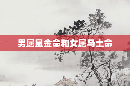 男属鼠金命和女属马土命