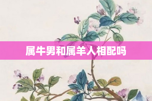 属牛男和属羊人相配吗