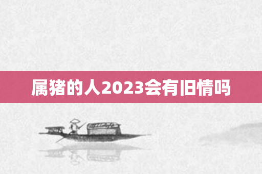 属猪的人2023会有旧情吗