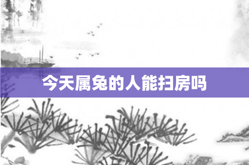 今天属兔的人能扫房吗