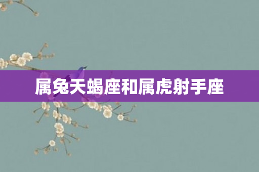 属兔天蝎座和属虎射手座