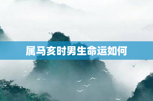 属马亥时男生命运如何