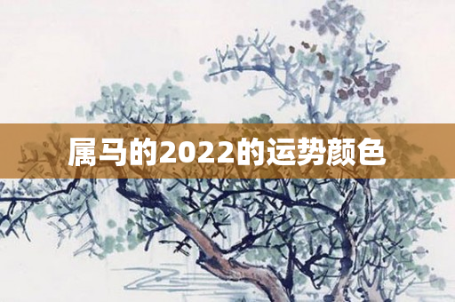 属马的2022的运势颜色