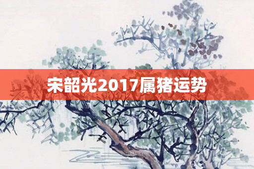 宋韶光2017属猪运势