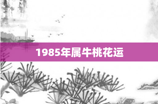 1985年属牛桃花运