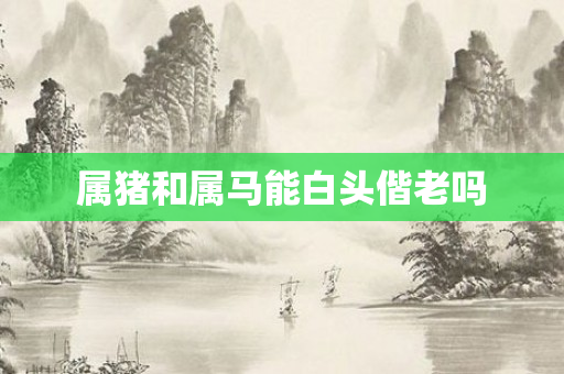 属猪和属马能白头偕老吗