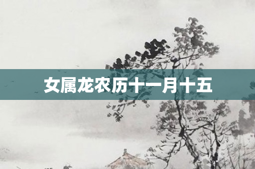 女属龙农历十一月十五