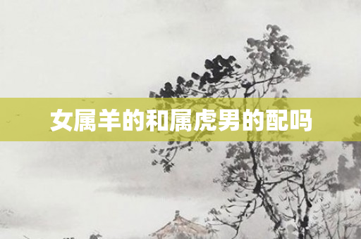 女属羊的和属虎男的配吗