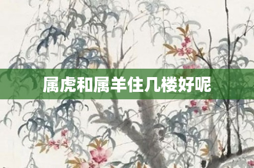 属虎和属羊住几楼好呢