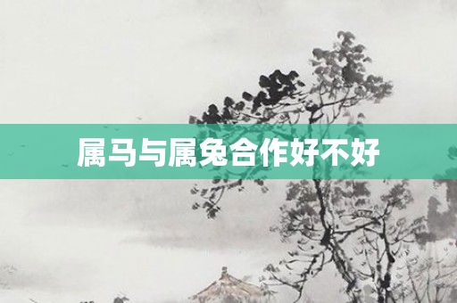 属马与属兔合作好不好