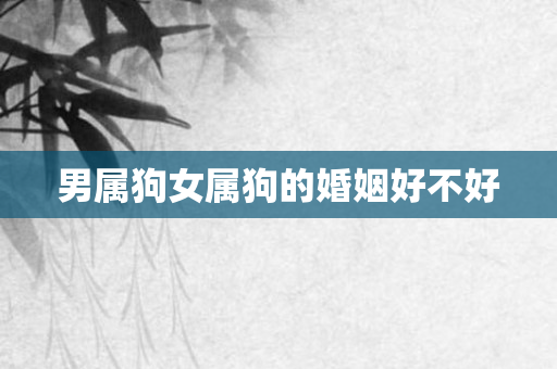 男属狗女属狗的婚姻好不好