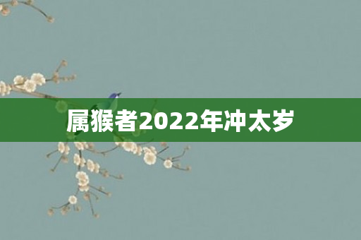 属猴者2022年冲太岁