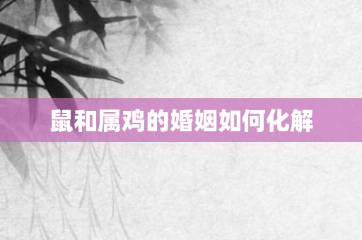 鼠和属鸡的婚姻如何化解