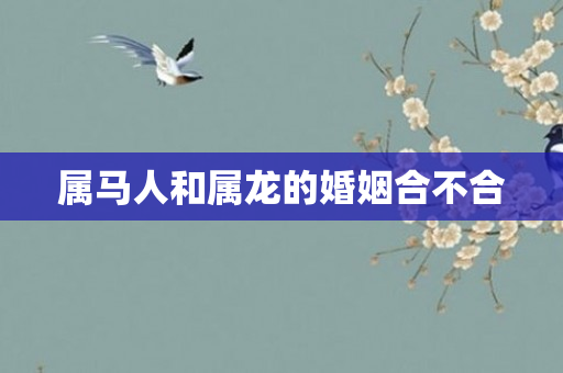 属马人和属龙的婚姻合不合