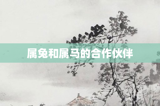 属兔和属马的合作伙伴