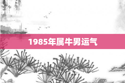 1985年属牛男运气