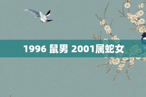 1996 鼠男 2001属蛇女