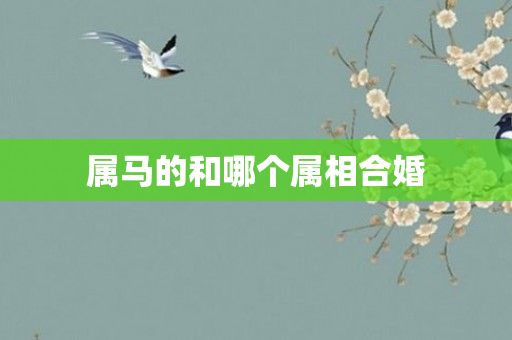 属马的和哪个属相合婚