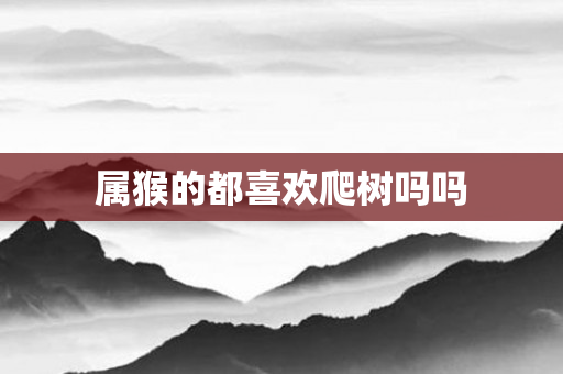 属猴的都喜欢爬树吗吗