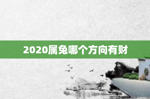 2020属兔哪个方向有财