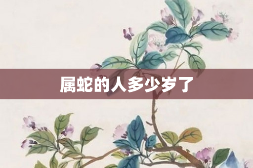 属蛇的人多少岁了